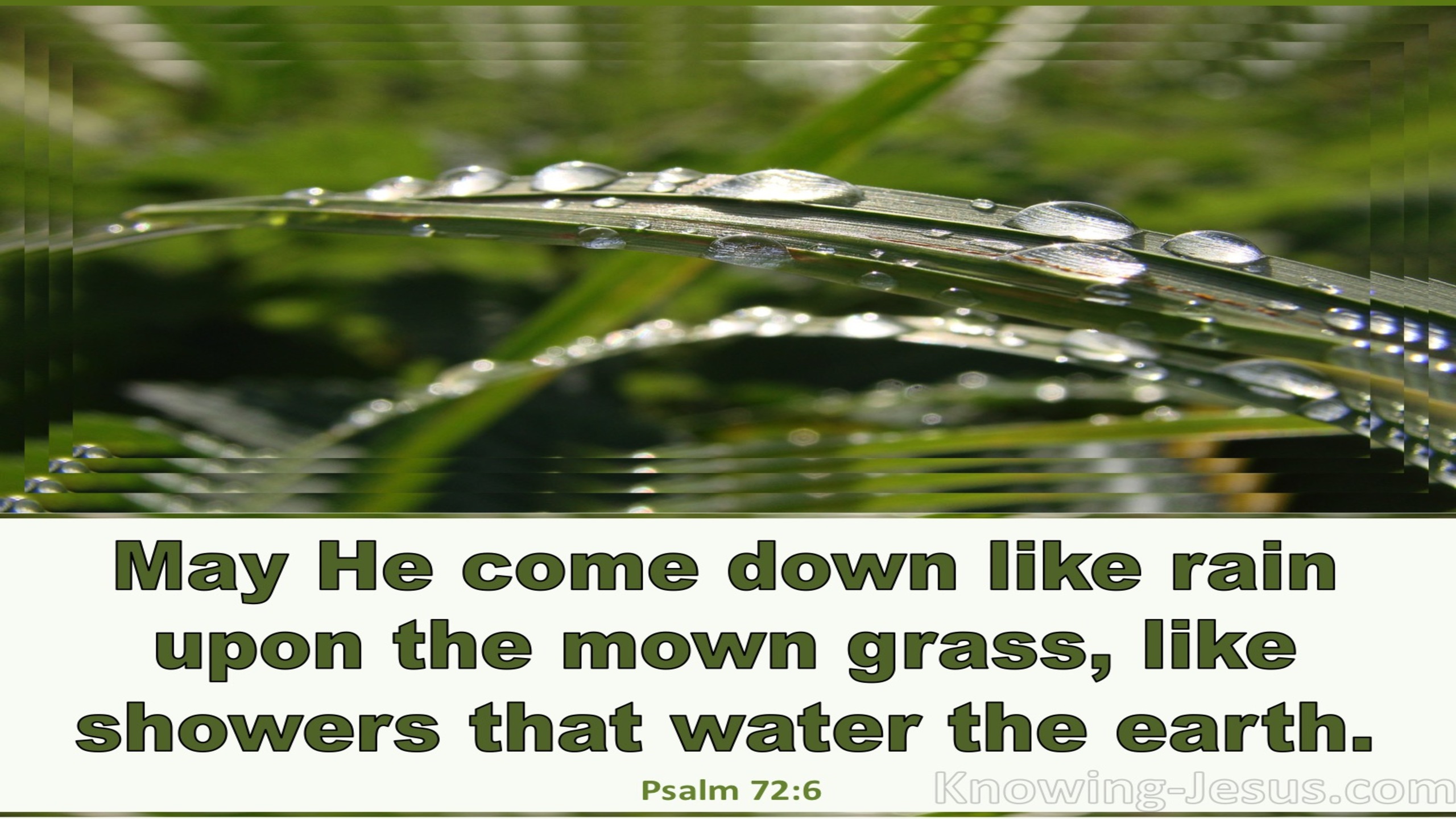 Psalm 72:6 He Is Like The Dew On The Mown Grass (sage)